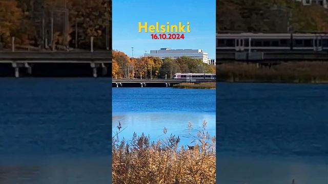 Walking in autumn Helsinki, golden autumn in Helsinki #helsinki #myhelsinki #photography