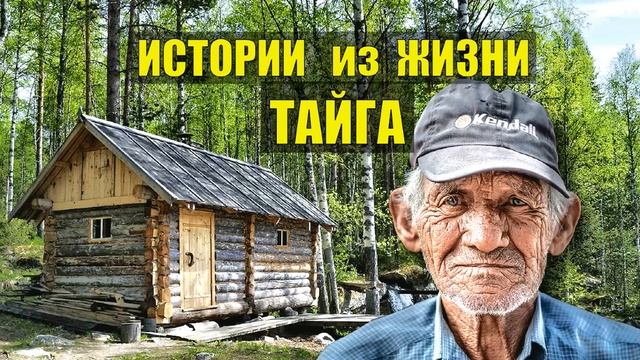 0456 ДЕД ПЁТР ЛЕСНИК ИСТОРИИ из ЖИЗНИ ЛЕСНИКА СЛУЧАЙ в ТАЙГЕ ДОМ в ЛЕСУ РАССКАЗЫ ОТШЕЛЬНИКА СЕРИАЛ