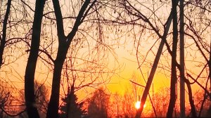 Медитация на горловой центр (Вишудха чакру)#открытаяйога #йогакаждыйдень #медитация #чакра #вишудха