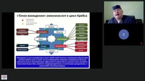 Субстатные основы энергетики организма Афончиков В.С.