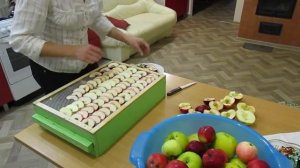 Сушилка для яблок и не только...