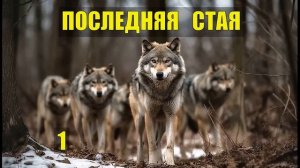 ПОСЛЕДНЯЯ ВОЛЧЬЯ СТАЯ ВСЕ СЕРИИ ИСТОРИЯ ЕГЕРЯ СУДЬБА ЛЕСНИКА в ЛЕСУ ЖИЗНЬ ИСТОРИИ из ЖИЗНИ СЕРИАЛ
