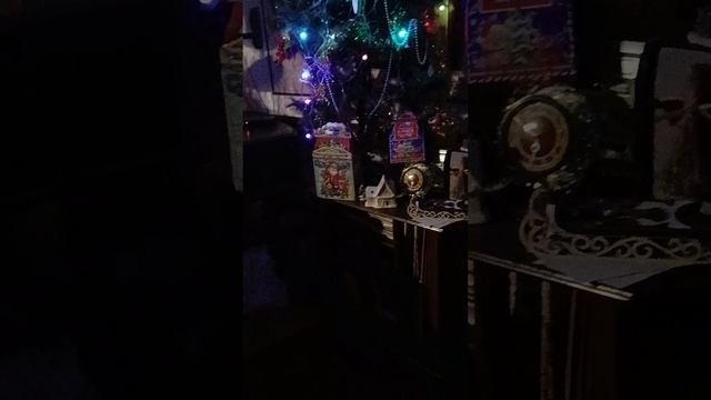 1000087660.mp4