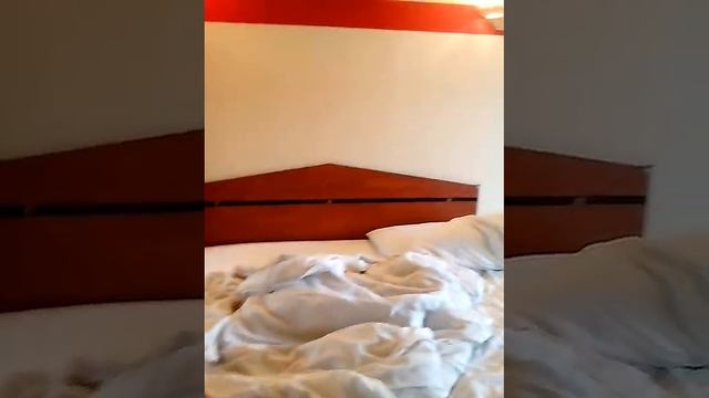 Palace Inn Houston Texas смотреть онлайн