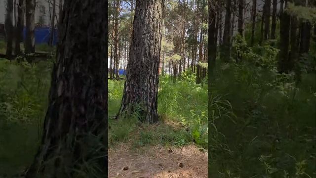 Прогулка 2.2 смотреть онлайн