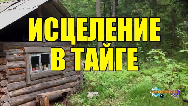 0930 - ИСЦЕЛЕНИЕ _ ДЕД _ СВЯТОЙ ИСТОЧНИК _ ЖИЗНЬ В ТАЙГЕ смотреть онлайн