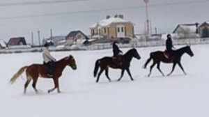 Каспер и Светлана, Аквилон и Лера, Флейта и Алена