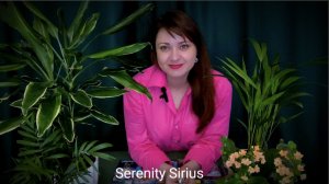 ПОСЛАНИЕ ВЫСШИХ СИЛ💫ВАЖНО⚡СРОЧНО⚡СЕЙЧАС ⚡ТАРО РАСКЛАД ГАДАНИЕ ОНЛАЙН