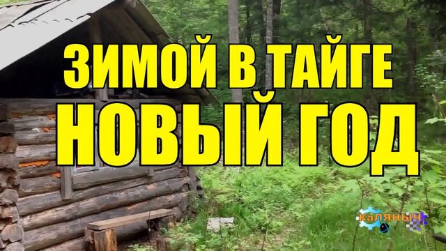 0492 - НОВЫЙ ГОД В ТАЙГЕ С СОБАКОЙ _ МЕЧТЫ СБЫВАЮТСЯ ЗИМОЙ _ ДЕД И БАБКА смотреть онлайн