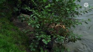 Инна Судакова. Все БЕГУТ от ИНТЕЛЛЕКТА Инны. Inna Sudakova | Правдивая Ольга ЗВЕЗДАНУТЫЕ БЛОГЕРЫ