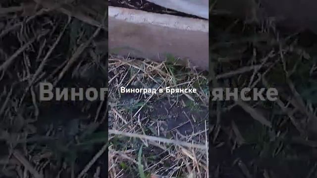 23 мая 2024 г.