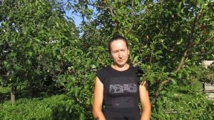 У нас Юбилей....