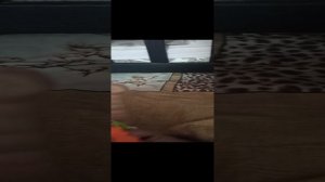 Соня и Тим дома двоём 1 часть