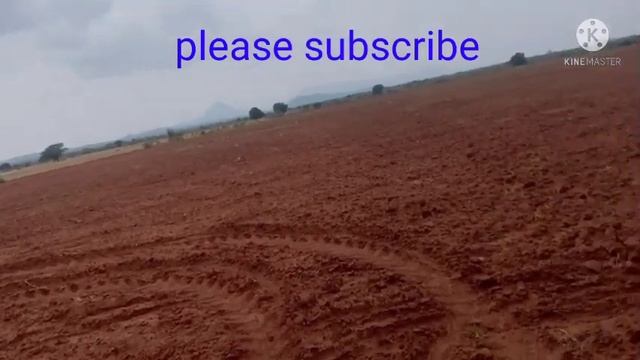 17 ACRES OF RED SOIL LAND. NELLORE DT. (AP). PH. NO. 8464955677.LAND :ID:47 смотреть онлайн