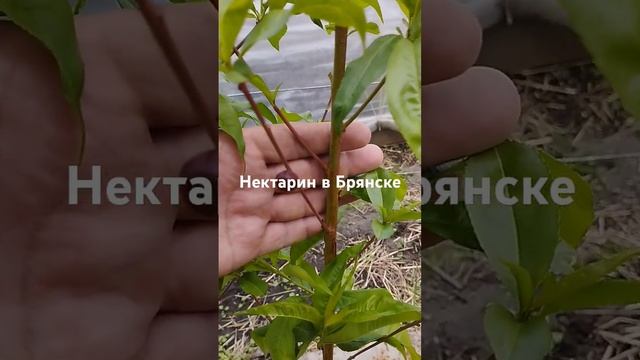 8 мая 2024 г.