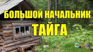 СТАРЫЙ ОХОТНИК И БОЛЬШАЯ ШИШКА В ТАЙГЕ