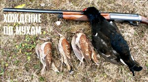 ЧУДО В ПЕРЬЯХ. И ХОЖДЕНИЕ ПО МУХАМ И ОХОТАМ