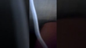 Паквзываю тритон и как определять пол