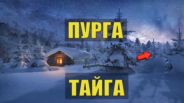 0230 ДОБРАТЬСЯ б ДО ИЗБЫ АУ ЗАБЛУДИЛСЯ в ЛЕСУ СЛУЧАЙ в ТАЙГЕ ПУРГА ИСТОРИИ из ЖИЗНИ ОТШЕЛЬНИК СУДЬБА смотреть онлайн