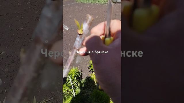 11 мая 2024 г.
