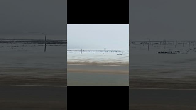1000066279.mp4