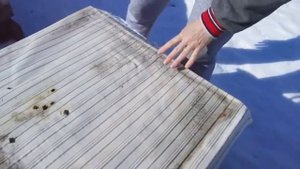 Беглый осмотр зимовавших на улице.