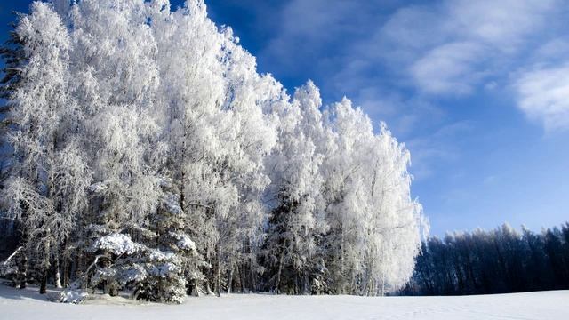 П.И.Чайковский. Симфония №1 Зимние грёзы. 2 часть.