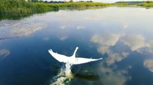 Песня"Прошу у бога". Стихи: Ларисса Майбер /Larissa Maiber/. Музыка, вокал: ИИ. Видео: А. Лихачёва.