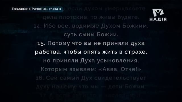 Как отличить того, который живет по плоти от живущего по духу_ Римлянам 8 глава _ Андрей Бедратый