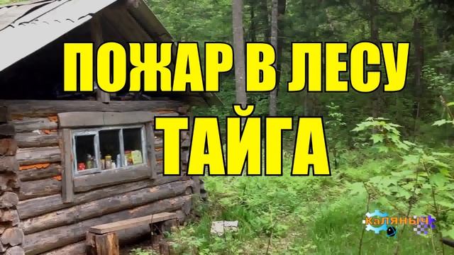 0988 - ЛЕСНОЙ ПОЖАР _ ЗОЛОТАЯ ДОЛИНА _ ТАЙГA смотреть онлайн