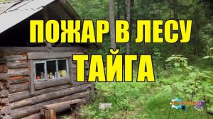 0988 - ЛЕСНОЙ ПОЖАР _ ЗОЛОТАЯ ДОЛИНА _ ТАЙГA