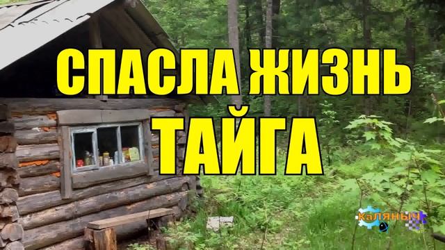 0957 - СОБАКА СПАСЛА ЧЕЛОВЕКА _ ЖИЗНЬ В ТАЙГЕ смотреть онлайн