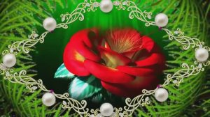 МАМУЛЕЧКА С ЮБИЛЕЕМ!(ОЧЕНЬ КРАСИВАЯ ПЕСНЯ ОТ ДОЧКИ)