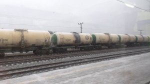 Вырица - Павловск