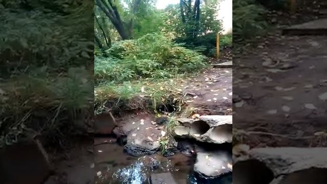 VLOG,телефон по водой!