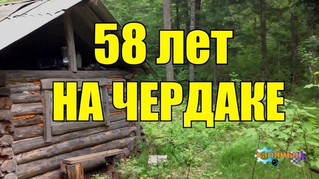 0886 - ОТШЕЛЬНИК _ 58 лет ОДИНОЧЕСТВА _ ДЕД НА ЧЕРДАКЕ _ ПРОКЛЯТЫЙ СТАРЫЙ ДОМ смотреть онлайн