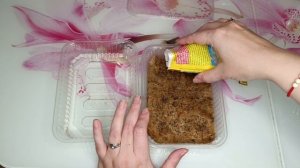 Выращивание микрозелени. Смесь Болеро