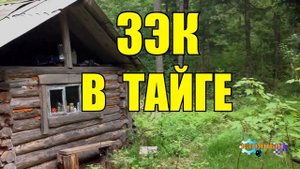 ЗАКЛЮЧЁННЫЙ В ТАЙГЕ