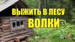ВОЛКИ НАПАЛИ _ ВЫЖИТЬ В ЛЕСУ _ ВСТРЕЧА ЖИЗНЬ В ТАЙГЕ