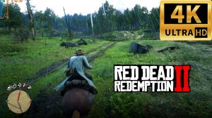 RTX 3050 8gb | Red Dead Redemption 2 | 4K