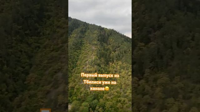 Ребята, от души, все для вас #грузия #тбилиси #боржоми #путешествия #путешествие #georgia #tbilisi