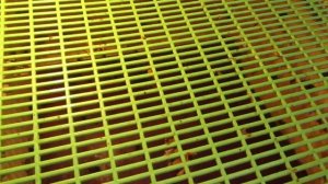 Матки инструментального осеменения в Ярославле