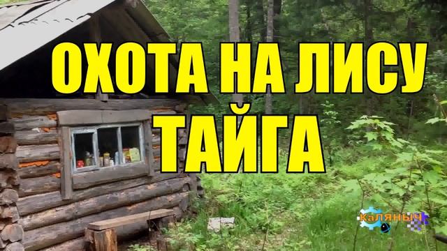 1015 - ОХОТА НА ЛИСУ _ СТАРЫЙ ОХОТНИК смотреть онлайн