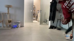 генсуха спалила попу