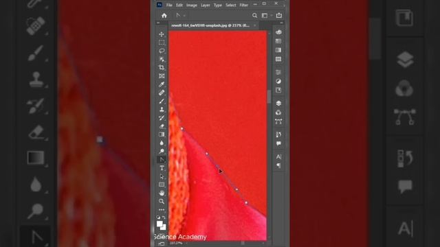 Amazon ebay image background removal || #photoshop #editing #editor #amazon #ebay #graphicdesign
