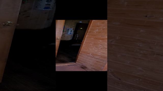 Подарок от Дюши