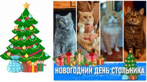 Новогодний День стольника для помощи котам, которых оставили на дачах (почти 70 котиков)