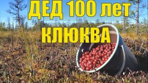 0757 - ДЕД 100 лет В ТАЙГЕ ОТШЕЛЬНИК ОСТРОВ МЕДВЕДЕЙ и КЛЮКВА СУДЬБА ЧЕЛОВЕКА ЖИЗНЬ В ЛЕСУ ИЗБУШКА Л