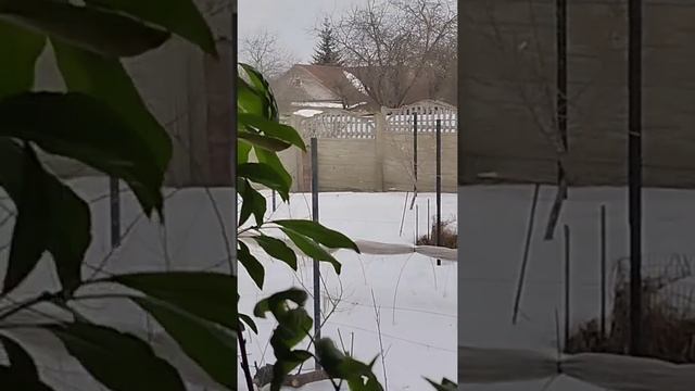 29 февраля 2024 г.