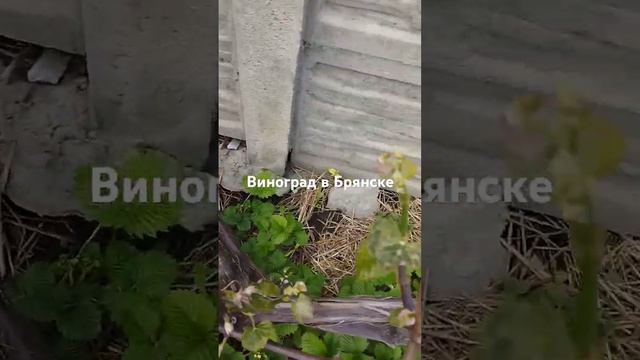 8 мая 2024 г.
